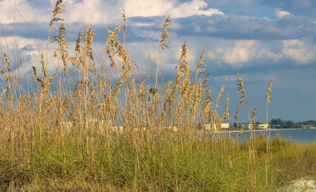 Minorga On The Key By Beachside Management Siesta Key Dış mekan fotoğraf